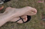 DSC 6530